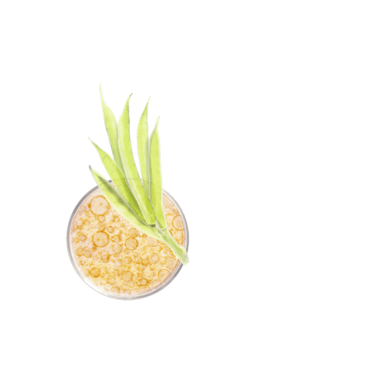 Shampoing fortifiant volume