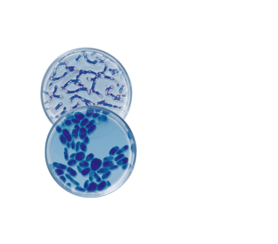 Nachtfluid met probiotica