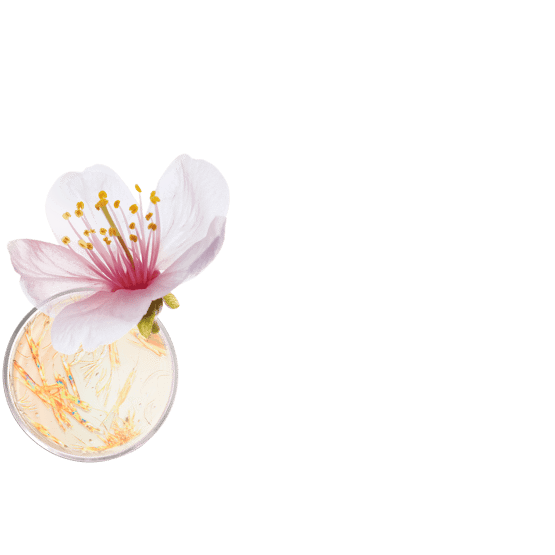 Fond de teint liftant