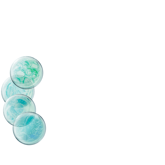 Cure intensive concentrée 4 acides hyaluroniques