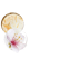 Lifting-Creme für Hals und Dekolleté mit Vitamin B3 und Süßmandel-Biopolymer
