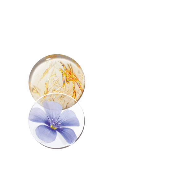 Contour yeux lifting raffermissant booster collagènes et élastine Niacinamide + fraction pure de lin
