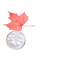 Crème riche nutrition intense et réconfort