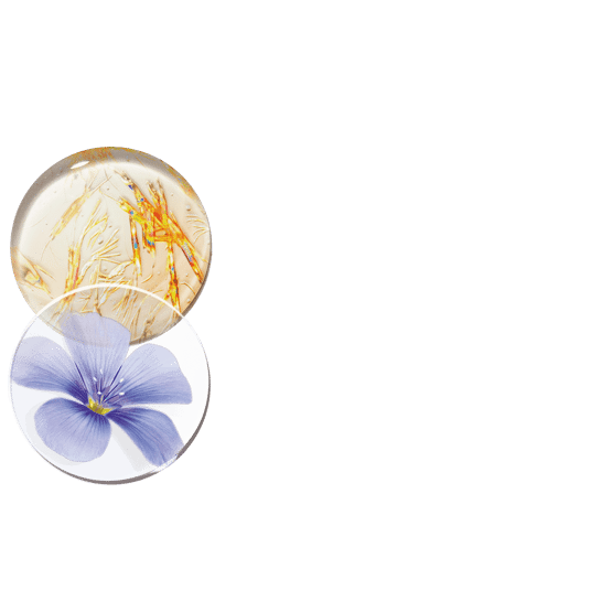 Straffende Lifting-Kur