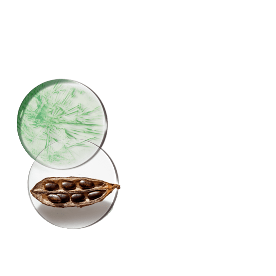 Intensives Figurpflege-Gel mit Frische-Kick 14T