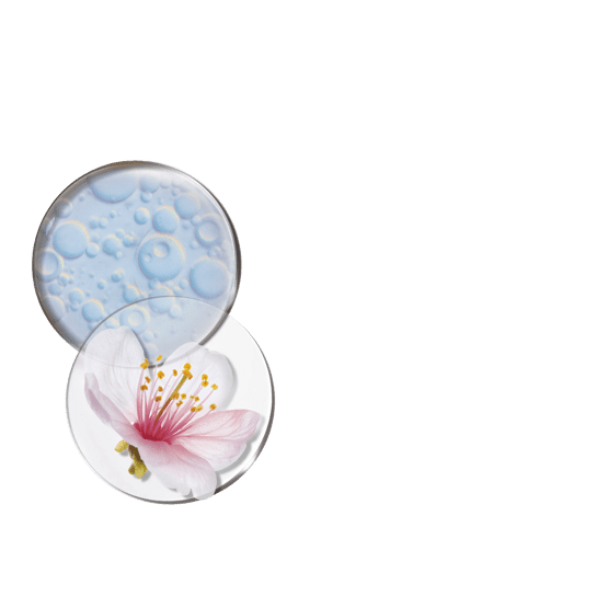 Kostbares, glättendes Öl für das Dekolleté