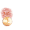 Sublime Crème jour Peptide et Rosa centifolia