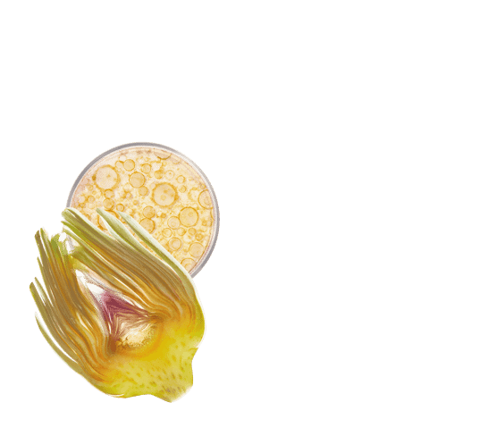 Crème rééquilibrante anti-taches, nourrissante, anti-rides