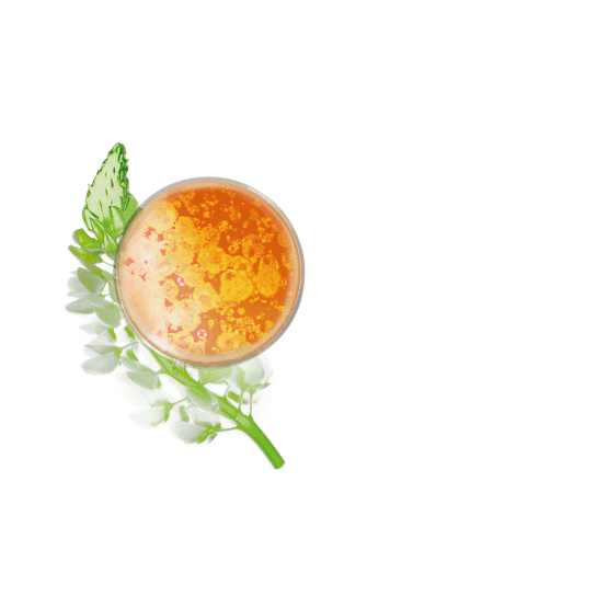 Fluide de teint glow