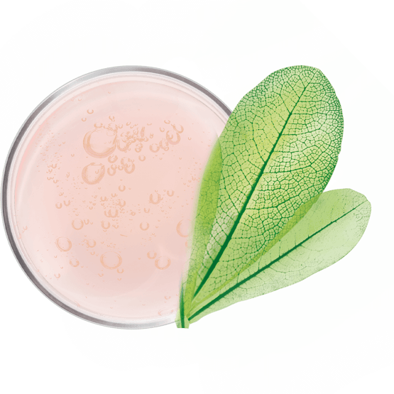 Crème mains anti-âge hydratante 48H et repulpante 