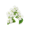 Eau de parfum Jasmin Sambac