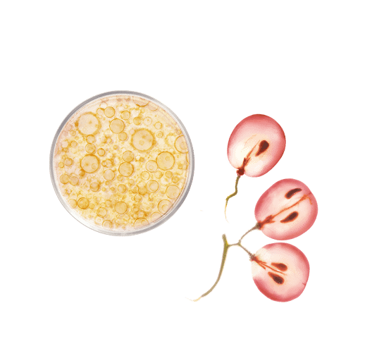 Volumeshampoo