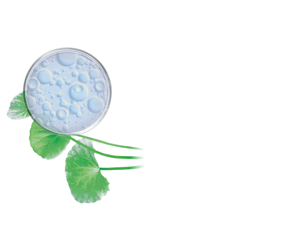 Hydraterende gel met pure centella