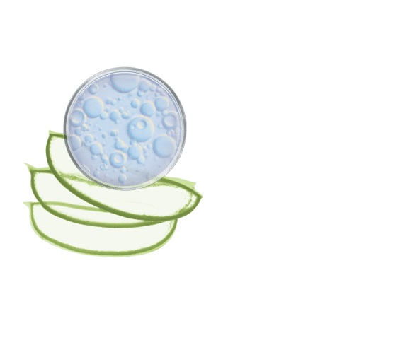 Hydraterend masker met aloë vera