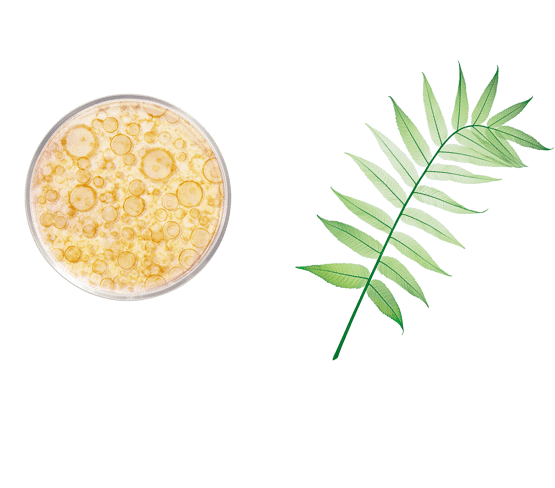Nutri-versterkende anti-vlekkencrème met ceramiden en provitaminen