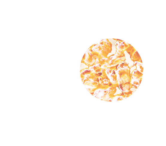Kalmerende na-zon zonnebank lichaamsmelk