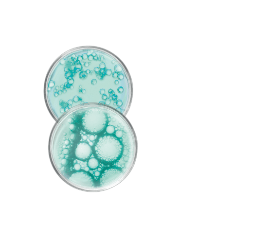 Micellaire reinigingsgel met evenwicht herstellend prebioticum