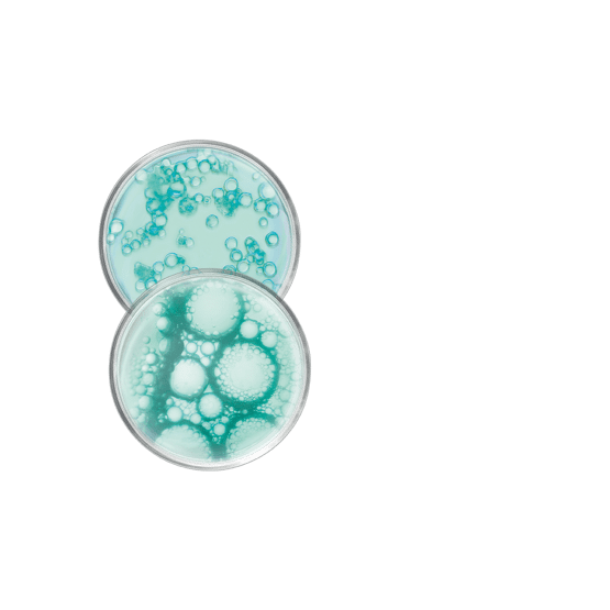 Reinigungsgel mit Mizellen-Technologie und ausgleichend wirkendem Präbiotikum