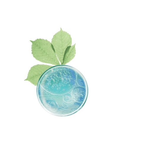 Anticernes correcteur lissant