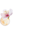 Crème lifting cou et décolleté