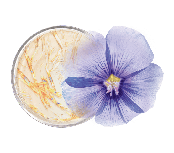 Masque lifting effet tenseur texture