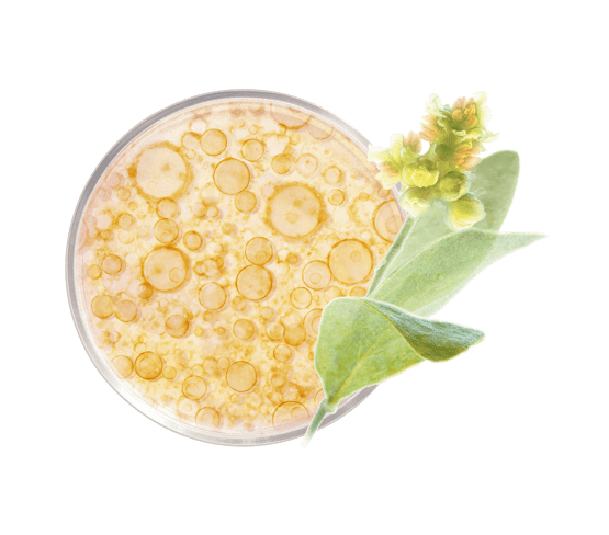 Shampoing fortifiant nutri-réparateur vidéo