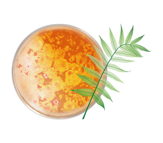 Crème-glow éclat, lissage, anti-taches texture