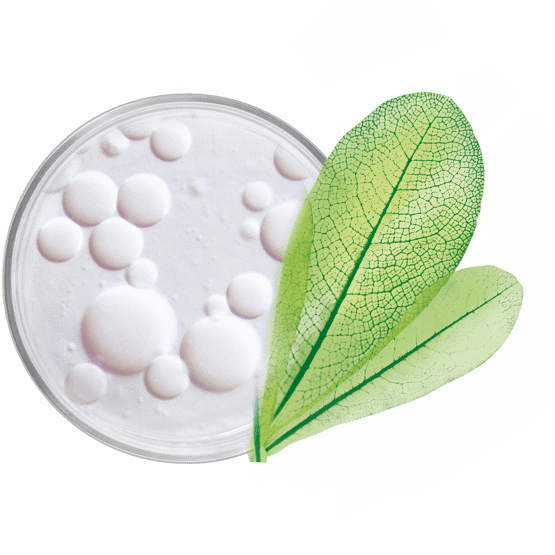 Baume corps nourrissant et relipidant vidéo