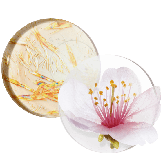 Lifting-Creme für Hals und Dekolleté mit Vitamin B3 und Süßmandel-Biopolymer vidéo