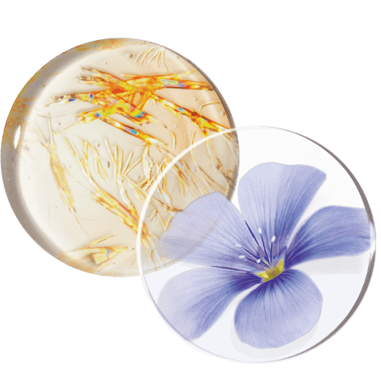 Aktivierendes Serum pot ouvert