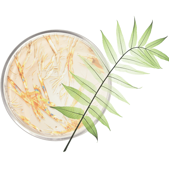 Crème mains éclaircissante taches  pot ouvert