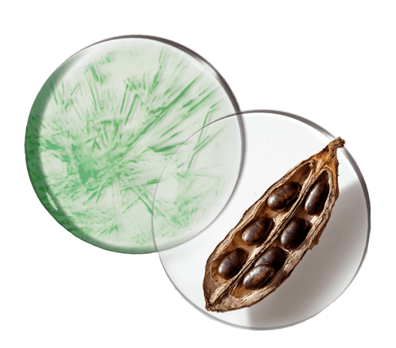Gel-frais amincissant intensif J14 pot ouvert