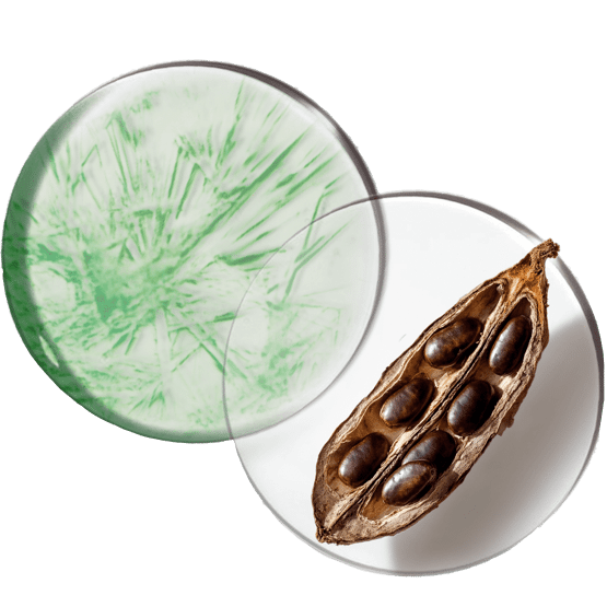 Intensives Figurpflege-Gel mit Frische-Kick 14T pot ouvert