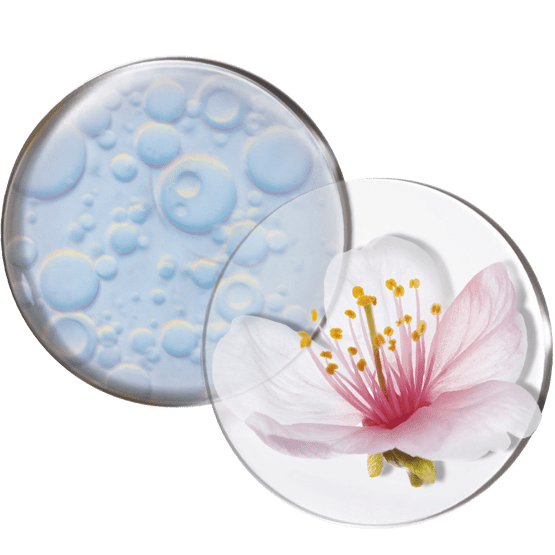 Kostbares, glättendes Öl für das Dekolleté vidéo