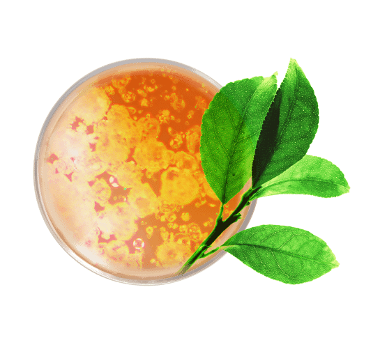 Glow Maske - Expresspflege für einen strahlenden Teint pot ouvert