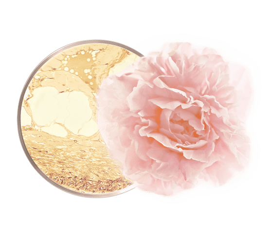 Sublime Crème nuit Peptide et Rosa centifolia texture