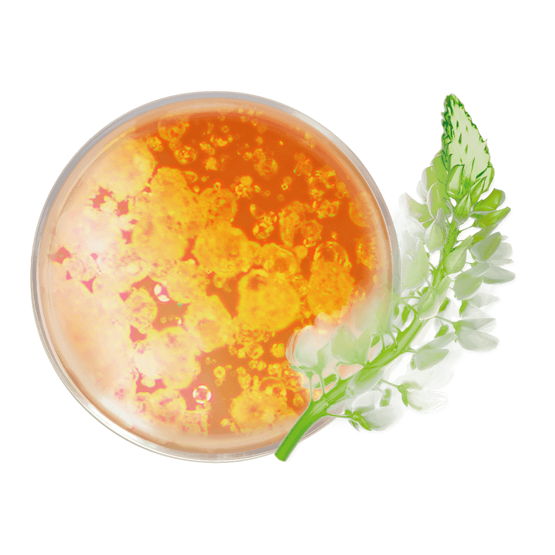 Fluide de teint glow pot ouvert