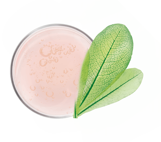 Crème mains anti-âge hydratante 48H et repulpante  texture