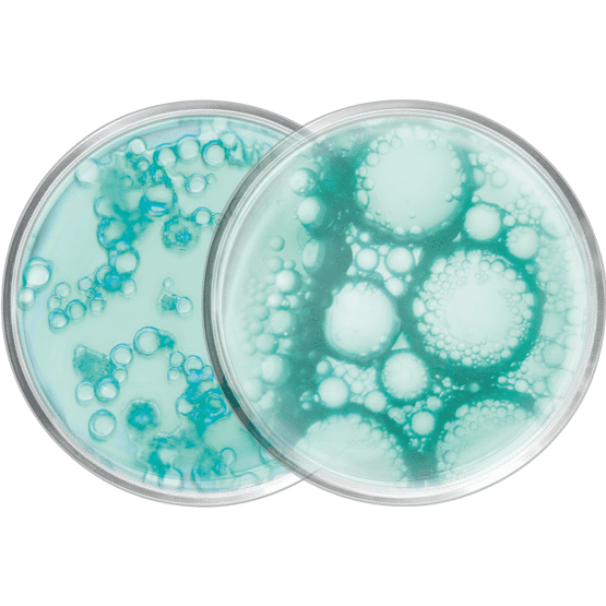 Reinigungsgel mit Mizellen-Technologie und ausgleichend wirkendem Präbiotikum