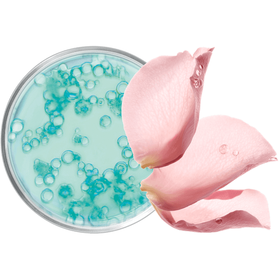 Crème nettoyante micellaire visage pot ouvert