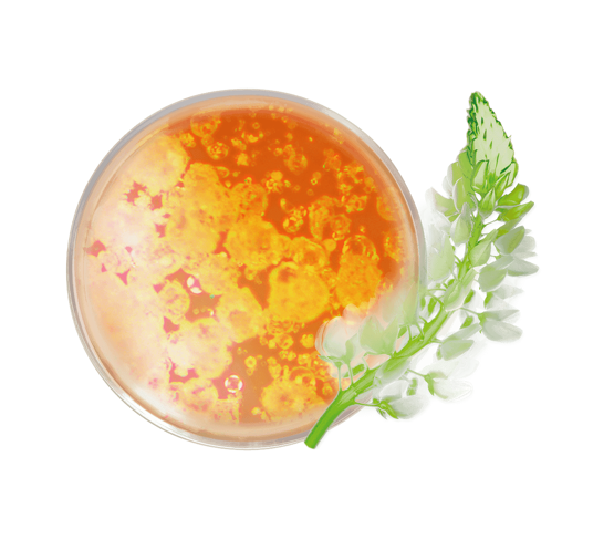 Fluide de teint glow pot ouvert