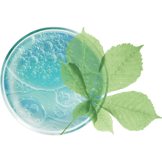 Anticernes correcteur lissant pot ouvert