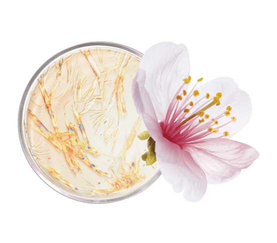 Crème lifting cou et décolleté