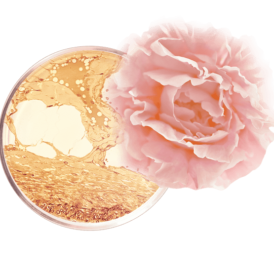 Essence de beauté Sublime Intensivkur mit Pflegeperlen texture