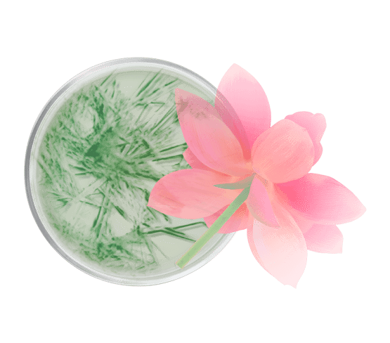 Gel-crème minceur vidéo