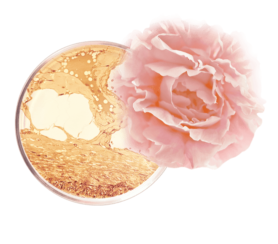 Sublime baume contour yeux Peptide et Rosa centifolia texture