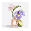 Eau de toilette Âme Toscane inspiration voyage