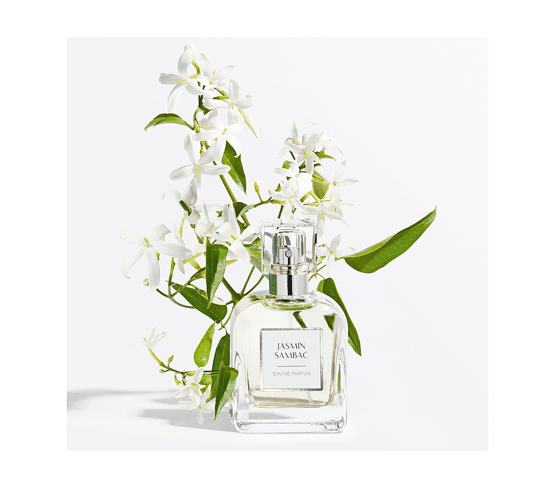 Eau de parfum Jasmin Sambac inspiration voyage