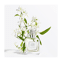 Eau de parfum Jasmin Sambac inspiration voyage