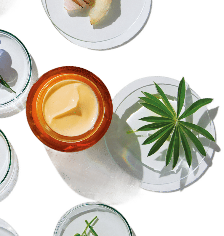 Notre science : allier les actifs dermocosmétiques
à la puissance des plantes médicinales